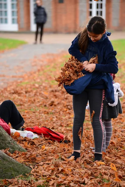 DSC_0476 (Large).JPG